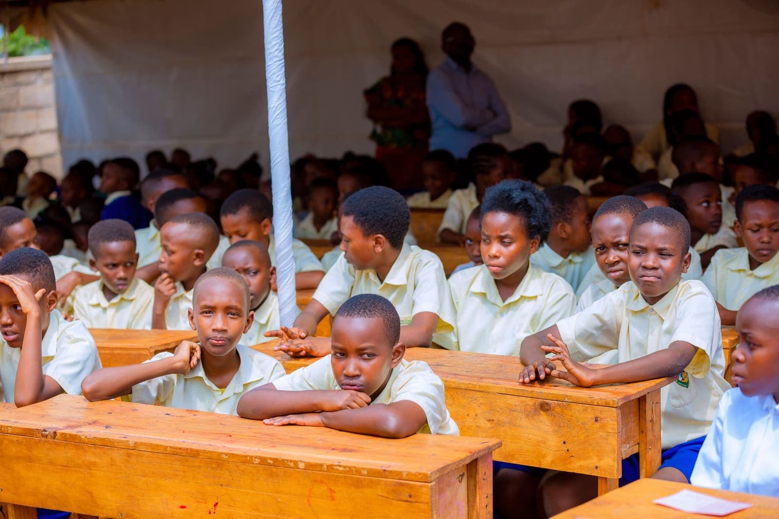 Pupils learning together at an outdoor class session